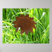Poster - Iron Sunflower in Grass (Voorkant)