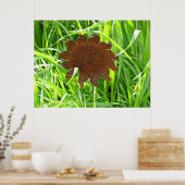 Poster - Iron Sunflower in Grass (Keuken)