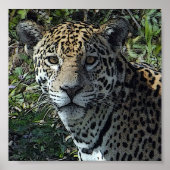 poster jag - Gepersonaliseerd (Voorkant)