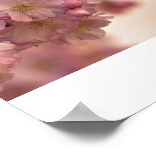 poster japanische Kirschblüte (Hoek)