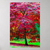 Poster Japanse apelboom (Voorkant)