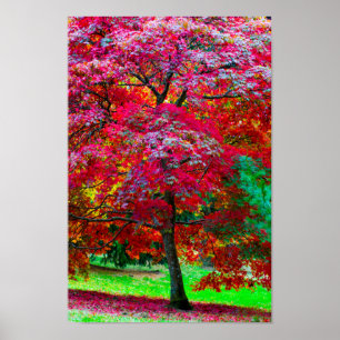 Poster Japanse apelboom