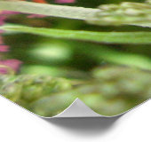 Poster Jersey Tiger Butterfly (Hoek)