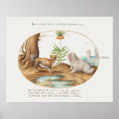 Poster  jongen (Voorkant)