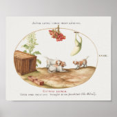 Poster  jongen (Voorkant)