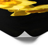 Poster Jonquil Flowers (Hoek)