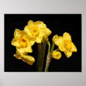 Poster Jonquil Flowers (Voorkant)