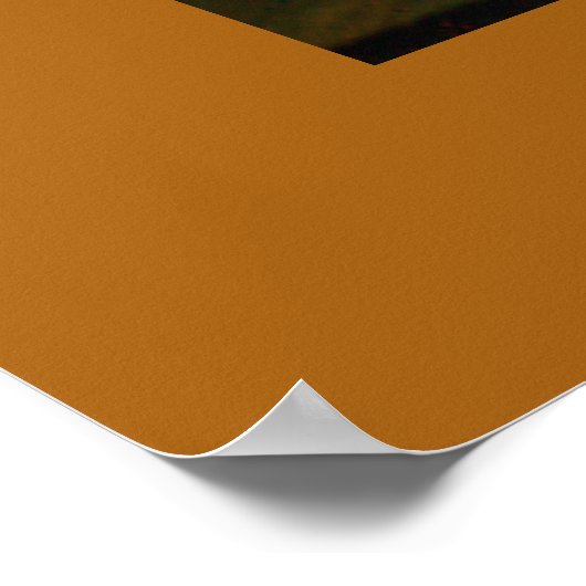 Poster - Kaapstanders en helling (Hoek)