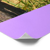 Poster/Kansas/Flint Hills Poster (Hoek)