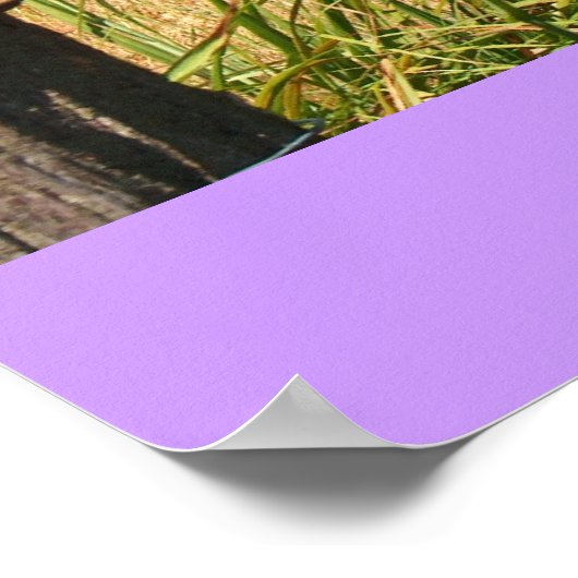 Poster/Kansas/Flint Hills Poster (Hoek)