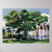 Poster Kapok Tree (Voorkant)