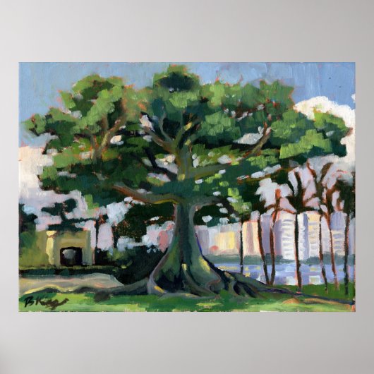 Poster Kapok Tree (Voorkant)