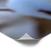 Poster katoenveld (Hoek)