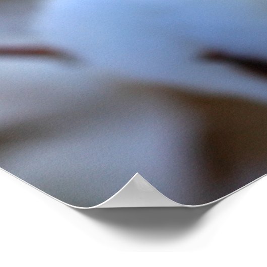 Poster katoenveld (Hoek)