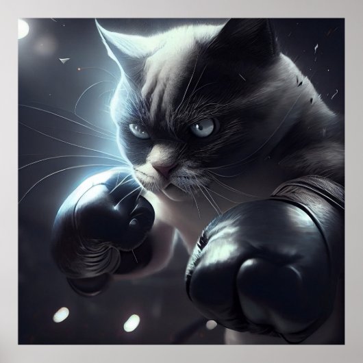 Poster katten (Voorkant)