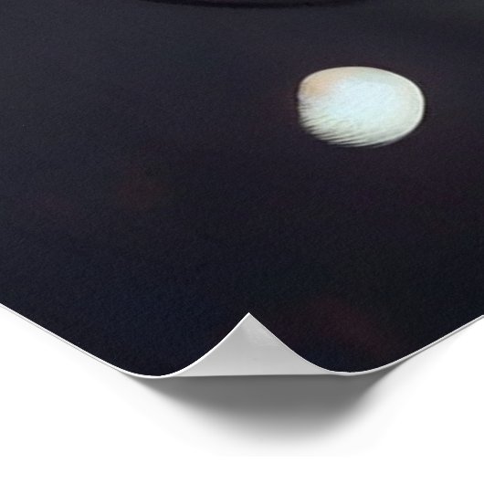 Poster katten (Hoek)