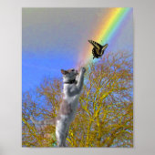 Poster - Kattenjasvlinder (Voorkant)