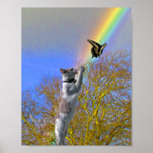 Poster - Kattenjasvlinder