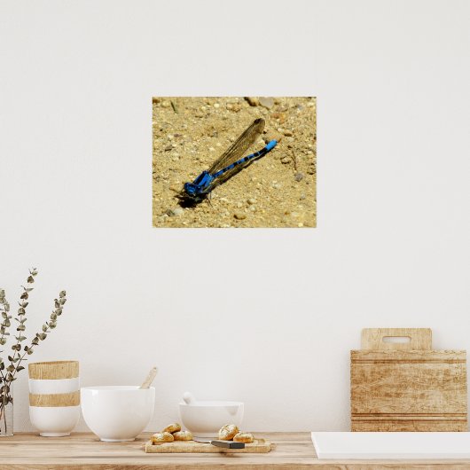 Poster, kijk je naar me? poster (Keuken)