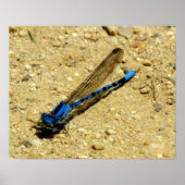 Poster, kijk je naar me? poster (Voorkant)