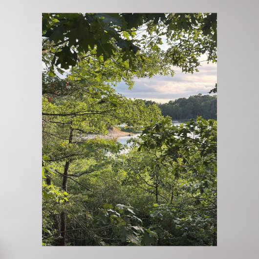 Poster 'Kijken door de bomen' (Voorkant)