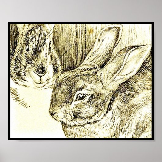 Poster-Kinder Art-Beatrix Potter 26 Poster (Voorkant)