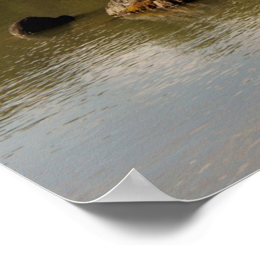 Poster Kinkakuji (het Gouden Pavilion) (Hoek)