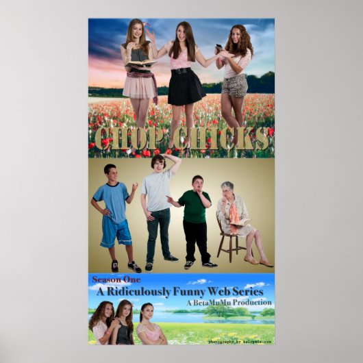 Poster kippen (Voorkant)