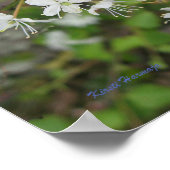 Poster Kirsti Harmaja (Hoek)