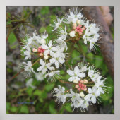 Poster Kirsti Harmaja (Voorkant)