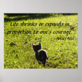 Poster Kitten Courage (Voorkant)