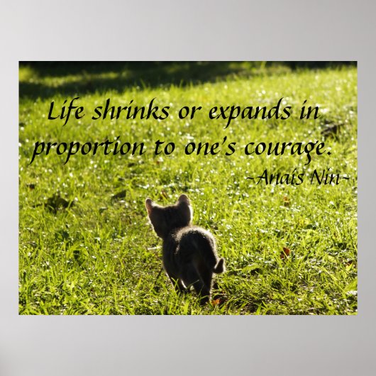 Poster Kitten Courage (Voorkant)