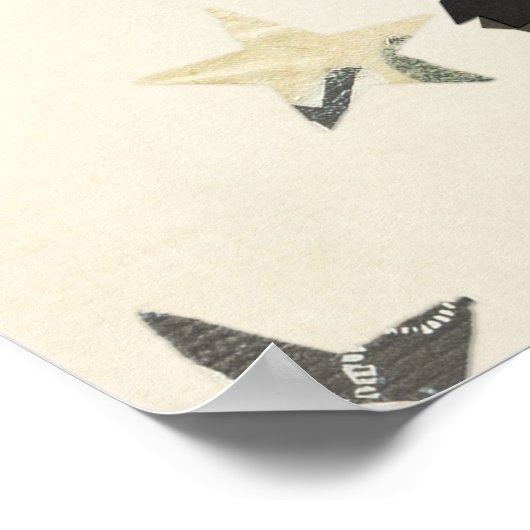 Poster KLAGEN, PAWS EN FEATHERS (Hoek)