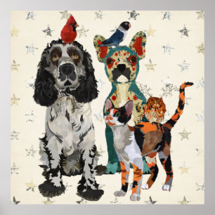 Poster KLAGEN, PAWS EN FEATHERS