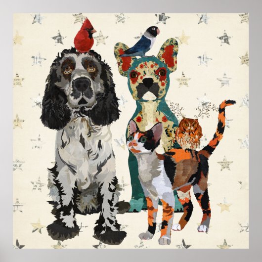 Poster KLAGEN, PAWS EN FEATHERS (Voorkant)