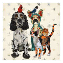 Poster KLAGEN, PAWS EN FEATHERS