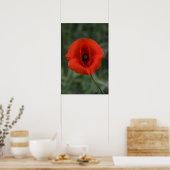 Poster Klaproos Bloem Natuur Fotografie (Keuken)
