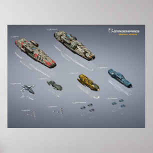 Poster kleine eenheden
