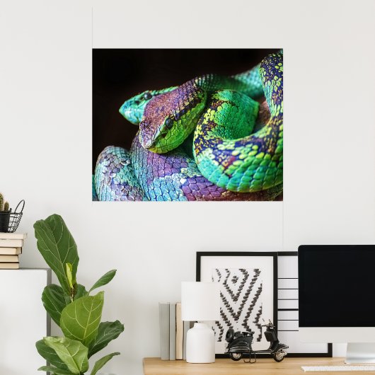 Poster kleurvolle slangen (Thuiskantoor)