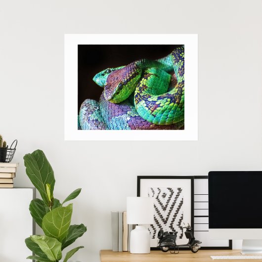 Poster kleurvolle slangen (Thuiskantoor)