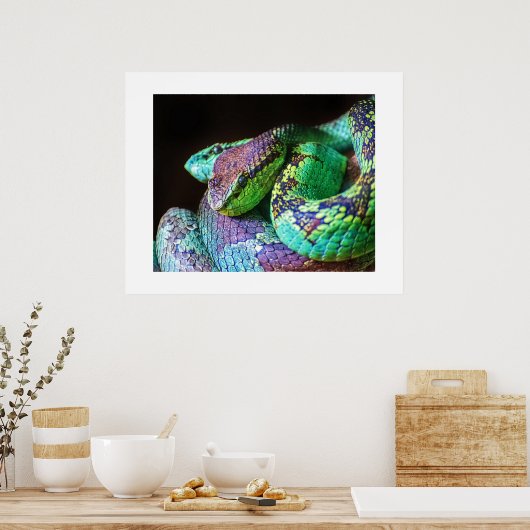Poster kleurvolle slangen (Keuken)