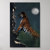 Poster klimmen door stijfbomen (Voorkant)