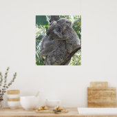 Poster Koala en baby ' s Australië Foto ZIZZAGO (Keuken)