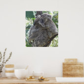 Poster Koala En Baby's Australië Foto ZIZZAGO (Keuken)