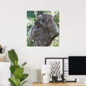 Poster Koala En Baby's Australië Foto ZIZZAGO (Thuiskantoor)