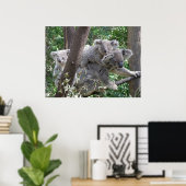 Poster Koala en Twee baby's Foto Australië (Thuiskantoor)