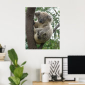 Poster Koala in Tree Australia (Thuiskantoor)