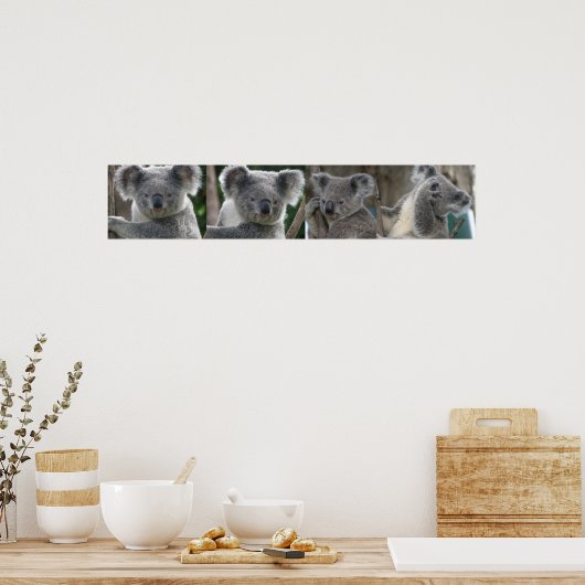 Poster Koala Te Adopteren Australië (Keuken)
