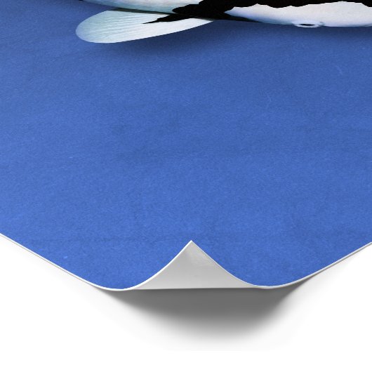 Poster Koi Elegance (Hoek)