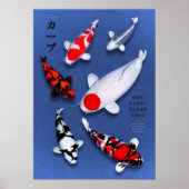 Poster Koi Elegance (Voorkant)